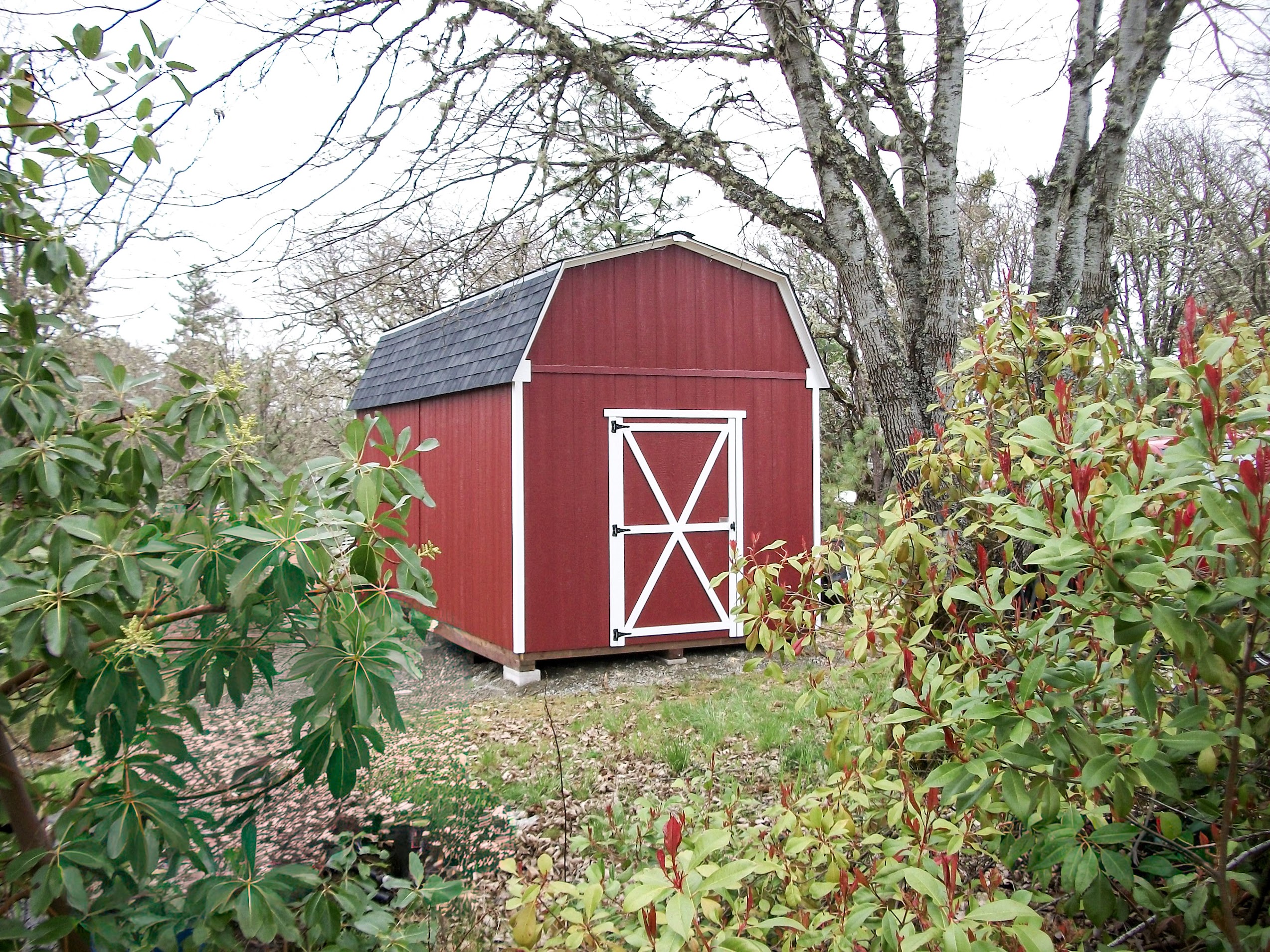 Small red gambrel-roof barn-style storage building among trees